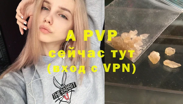 стаф Армянск