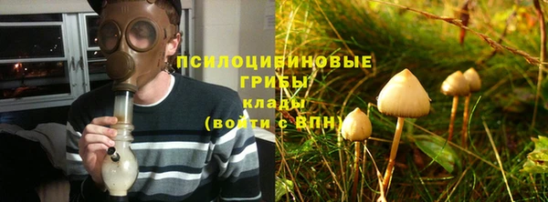 дурь Аркадак