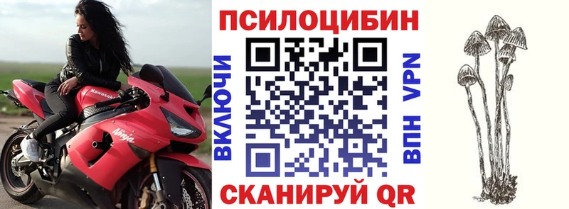 Купить закладки  Усть-Илимск  Псилоцибиновые грибы ЛСД 